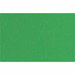 16F2112 Папір для пастелі Tiziano B2 (50 * 70см), №12 prato, 160г- м2, зелений, середнє зерно, Fabri