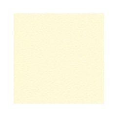 16F2103 Папір для пастелі Tiziano B2 (50 * 70см), №03 banana, 160г- м2, бежевий, середнє зерно, Fabr