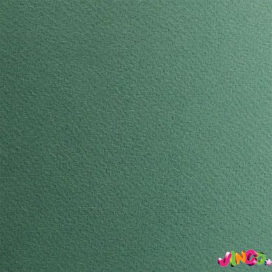 72942113 Папір для пастелі Tiziano A3 (29,7 * 42см), №13 salvia, 160г- м2, сіро-зелений, середнє зер