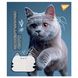 Зошит учнівський А5/18 клітинка, Yes Adventurous cats. (766576)