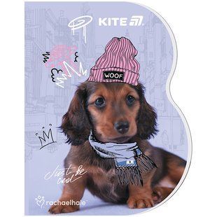 Блокнот Kite Rachael Hale R25-223, A6, 60 аркушів, клітинка