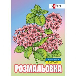 Розмальовка SANTI антистрес Флористика , 12 стор. (743058)