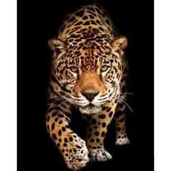 SK79464 Алмазна картина Зустріч з леопардом Strateg розміром 40х50 см кв (SK79464)