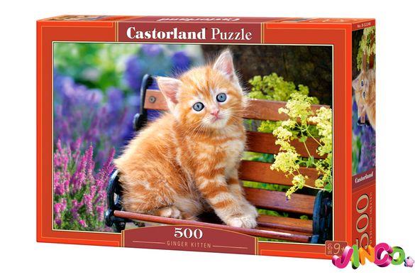 Пазлы Castorland Рыжий котёнок (В-52240)