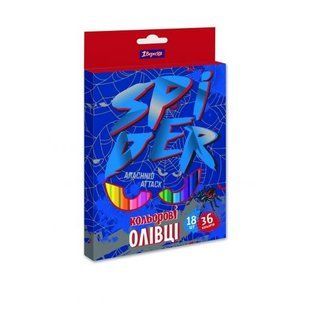 290624 Олівці 1 Вересня 18 36 кол. Spider