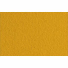 16F2107 Бумага для пастели Tiziano B2 (50 70см), №07 t.di siena, 160г м2, коричневая, среднее зерно,Fabriano