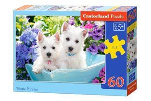 Пазли Castorland Цуцики (B-066100)
