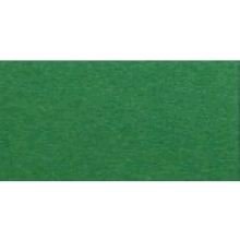 16826753 Папір для дизайну Tintedpaper В2 (50 * 70см), №53 зелений мох, 130г / м, без текстури, Foli