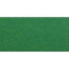 16826754 Папір для дизайну Tintedpaper В2 (50 * 70см), №54 трав'яний, 130г / м, без текстури, Folia