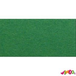 16826754 Папір для дизайну Tintedpaper В2 (50 70см), №54 трав'яний, 130г м, без текстури, Folia