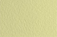 16F4113 Папір для пастелі Tiziano A4 (21 * 29,7см), №13 salvia, 160г- м2, сіро-зелений, середнє зерн