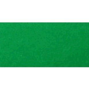 Папір для дизайну Tintedpaper А4 (21 29,7см), №55 темно-салатовий, 130г м, без текстури, Folia (16826455)