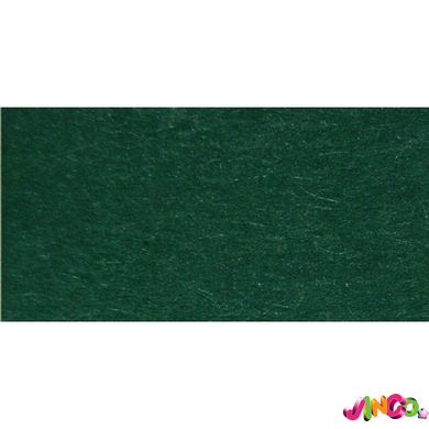6358 Папір для дизайну Tintedpaper А3, №58 хвойно-зелений, 130г / м, без текстури, Folia 50 листів