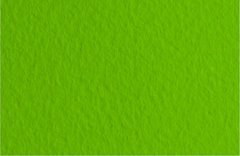 16F4137 Папір для пастелі Tiziano A4 (21 * 29,7см), №37 biliardo, 160г- м2, зелений, середнє зерно,