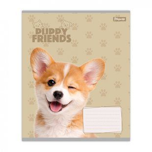 768777 Зошит учнівський 1В "Puppy friends" А5 12 лін.