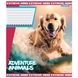 Тетрадь ученическая А5 18 линия, 1В Adventure animals, 766337