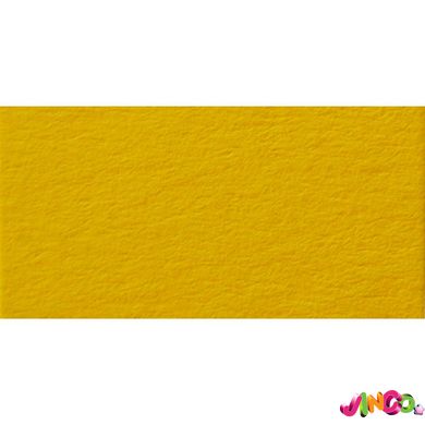 1686801015 Папір для дизайну Fotokarton B2 (50 70см) №15 Золотисто-жовтий, 300г м2, Folia
