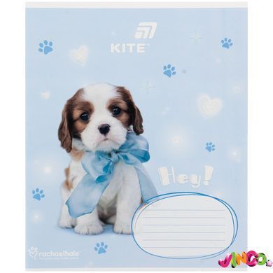Зошит шкільний Kite Rachael Hale R26-235, 12 аркушів, коса лінія