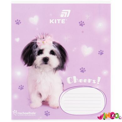 Зошит шкільний Kite Rachael Hale R26-235, 12 аркушів, коса лінія