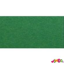 1686801053 Папір для дизайну Fotokarton B2 (50 * 70см) №53 Зелений мох 300г- м2, Folia