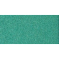 16826725 Папір для дизайну Tintedpaper В2 (50 * 70см), №25 зелено-м'ятний, 130г / м, без текстури, F
