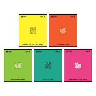 Зошит шкільний Kite One Color K25-259-2, 48 аркушів, клітинка