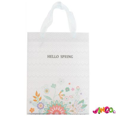 8503-10-A Пакет пластиковий подарунковий 25х19см, Hello Spring 03