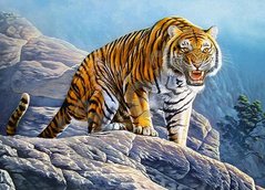 Пазли Castorland Тигр на скелі (B-018451)