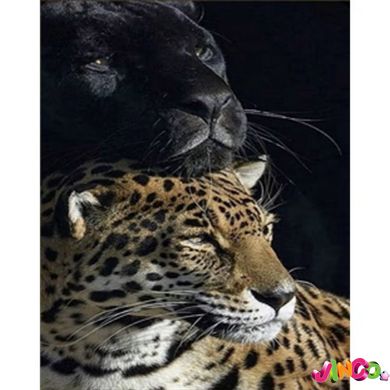 HEG86057 Алмазна картина Пантера та леопард Strateg розміром 30х40 см кв (HEG86057)