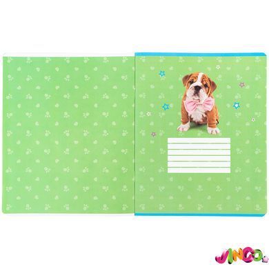 Зошит шкільний Kite Studio Pets SP26-238, 24 аркуші, клітинка