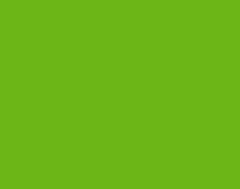 1686801055 Папір для дизайну Fotokarton B2 (50 * 70см) №55 Трав'яний-зелений, 300г- м2, Folia