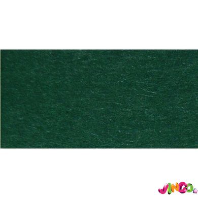 Папір для дизайну, Fotokarton A4 (21 29.7см), №58 хвойно-зелений, 300г м2, Folia (4256058)
