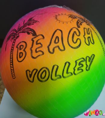 88701 Мяч Пляж цветной 14-128