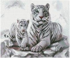 Алмазна картина HX011 Білі тигри, розміром 30х40 см