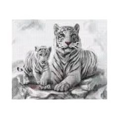 HX011 Алмазна картина HX011 Білі тигри , розміром 30х40 см