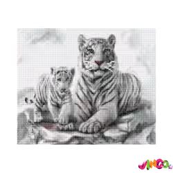 HX011 Алмазна картина HX011 Білі тигри , розміром 30х40 см