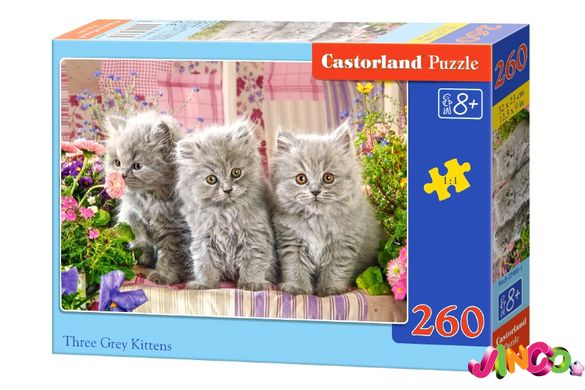 Пазлы Castorland Сірі кошенята (B-27491)